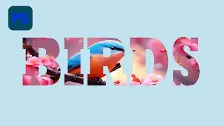 Bird Portrait in Photoshop Tutorials  @ShuvoCreators