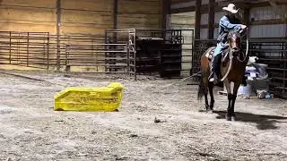 Highlights from Tahoe's 4th Ride - Introduction to Calf Sled