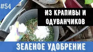 Зеленое удобрение из крапивы и одуванчиков в садовом участке