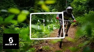 Europe's Downhill Utopia - Portes du Soleil  - 
