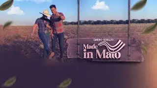 Sandro e Ronaldo | Made In Mato🤠(Áudio Oficial)