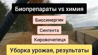 Биопрепараты или химия. Результаты уборки урожая.