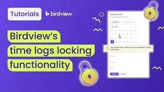 Time Logs Locking | Birdview tutorial