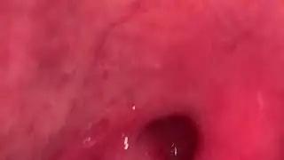 Boy mouth tour | VORE VIDEO