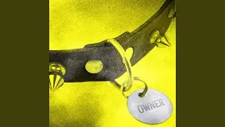 Owner