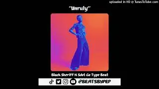 *FREE* l Black Sherif X Sdot Go Type Beat 2023 