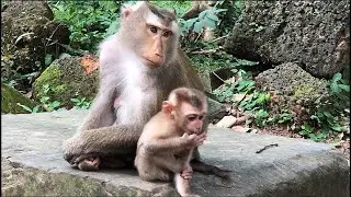 Libby and new timer baby Monkey are Abandoned. she heartbroken didn't see Leo and Rainbow next to.