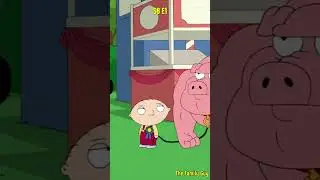 Stewie won a pig | 