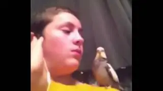 O O