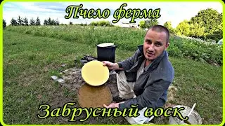 Пчело ферма. Перетопка забрусного воска.
