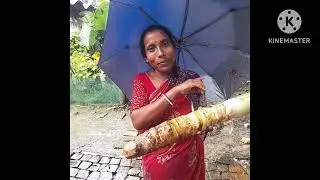 বাজার থেকে এসে আমি কি কি কাজ করলাম❤️❤️#বন্ধুরা ভিডিওটা যদি ভালো লাগে থাকে লাইক কমেন্ট এন্ড শেয়ার ❤️
