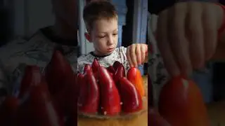 Самый маленький ресторанный критик,гроза всех мам и поваров😂 Болгарский перец👍😂