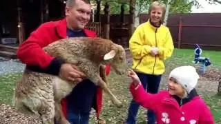 Володины на миниферме Пронино