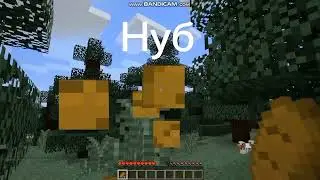 Большое видео мемов про майнкрафт!