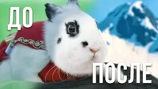 [Before & After] Epic Bunny's Adventure