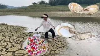 Wow! Fortunate to find strange huge shells in the wild river, beautiful multicolored pearls