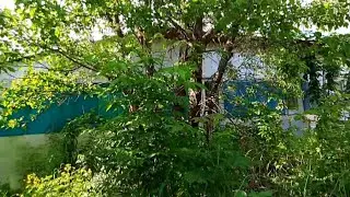 Покупаем дом.