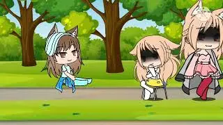 🐈🐈🐈