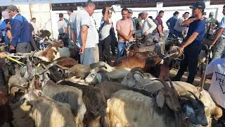 ЭЧКИ УЛОК ТАКА САРКА НАРХЛАРИ КАРШИ КАРВОН МОЛ БОЗОРИДА