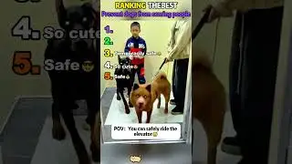 Prevent dogs from scaring people