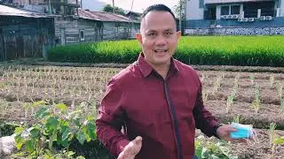 berkebun di kota knp tidak ? 😉