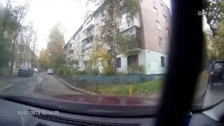Дятлы на дорогах