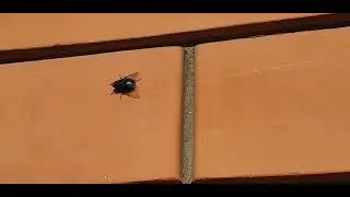 Не надо ехать на юга. Там 