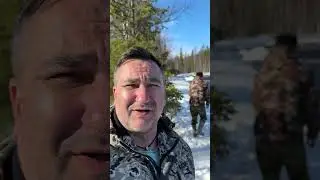 Дизайн блёсен