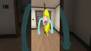 Banana Cat Came Home 