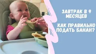 завтрак в 9 месяцев, каша с фруктами, банан, овощное пюре #прикорм