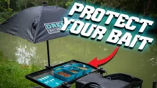 Protect Your Bait | Bait Brolly | Match Fishing