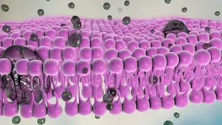 Module 2: Introduction