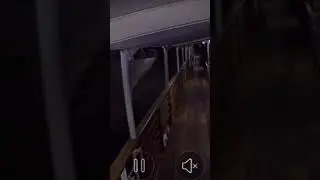 Столкновение теплоходов под Литейным мостом: