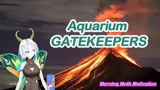 MORNING MOTH MOTIVATION, IRL Edition: Why Do Fishkeepers GATEKEEP So Bad?