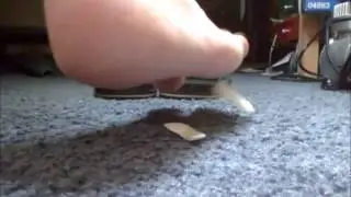 Squishy inshoe