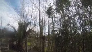 OPERACION CARHUMO - 2DA MISION