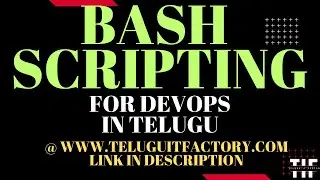 #Bash
