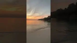 27 ноября 2023 г.