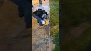 Sokak canları derneğimizce düzenli olarak beslenir.