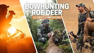 Mastering BowHunting Roe Bucks: Compilation 10+ deer shots 😲 Part 1