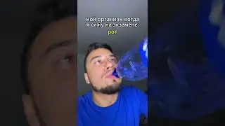 Как экзамены сдали?😅