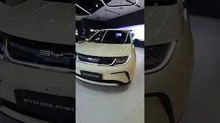 BYD DOLPHIN EV : Coastal Cream 