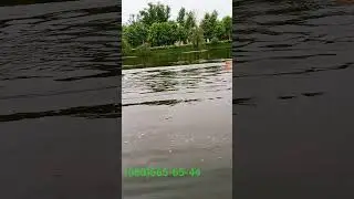 25 апреля 2024 г.