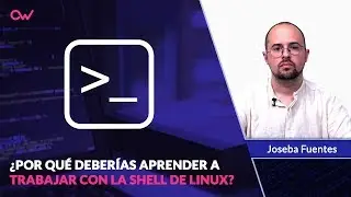 Por qué deberías aprender a trabajar con la Shell de Linux