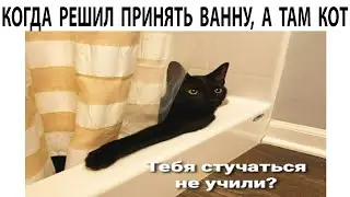 Мемы 2022 ( Тут Про100 мемы и короткие приколы с котами ) выпуск 358 - Самая полезная маска для лица