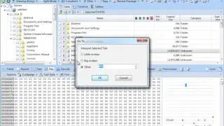 MFT Tutorials - Analyse the header, name attribute and standard information attribute in MFT
