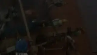 Утро Рикки и Кроша