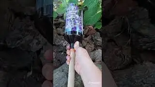 Плодосборник из бутылки
