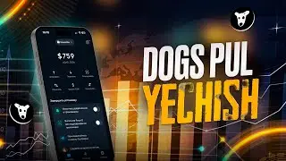 DOGS TONKEEPER CHIQARISH // MONEY MINER