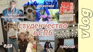 VLOG: СБЕЖАЛИ от проблем в ЛЕС учиться и веселиться| лайфстайл студентов ✨